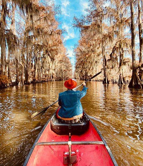 Maasai Mara – Kenya