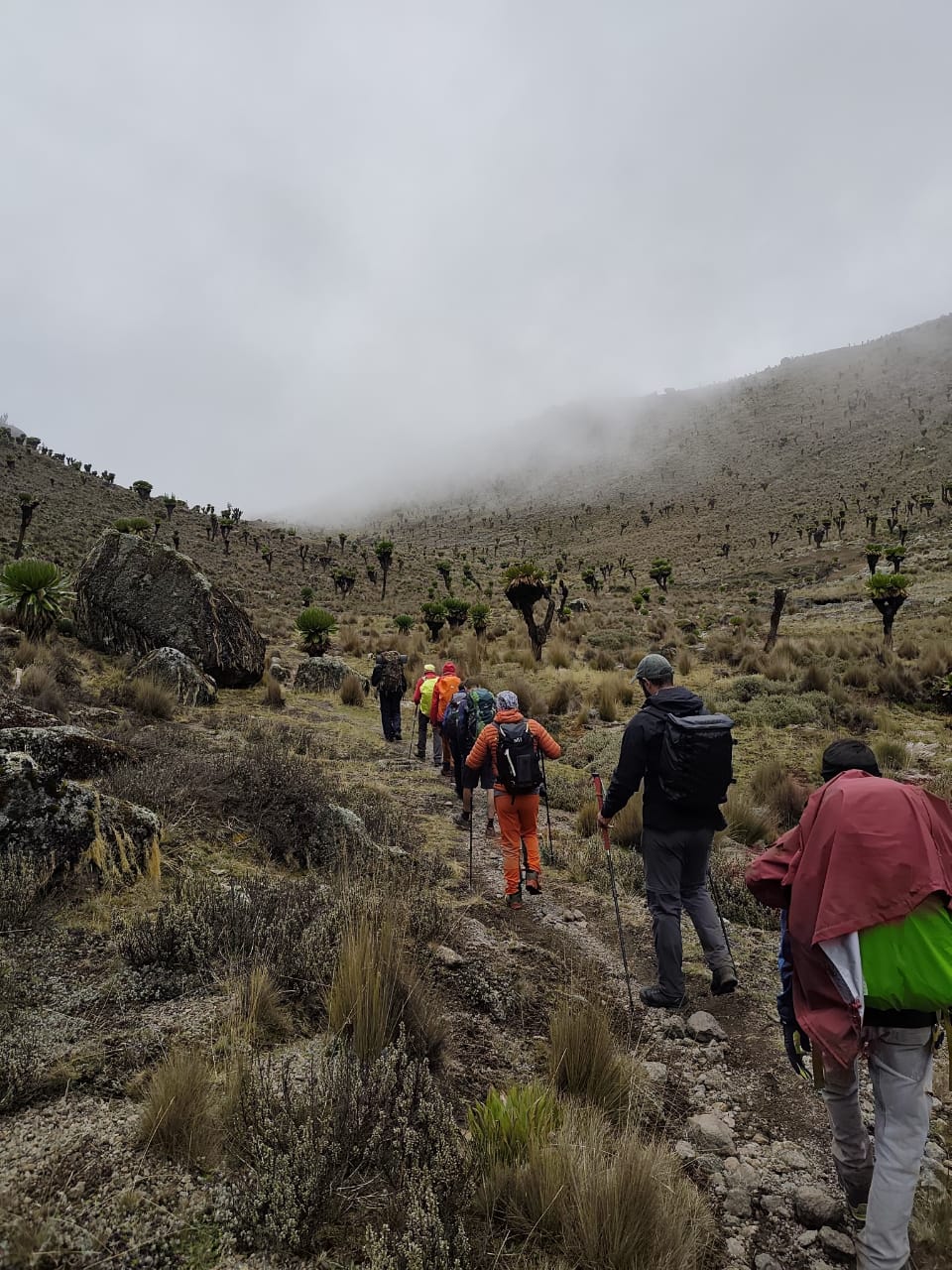 Cultural Experiences