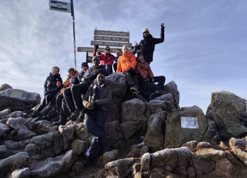 Top 7 Must-Visit Safari Destinations in Kenya